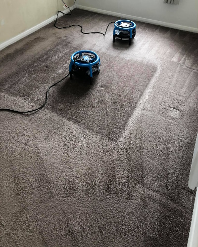 Carpet Drying Brisbane